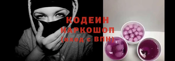 хмурый Абаза