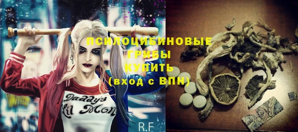 хмурый Абаза