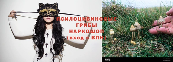 ешки Абдулино