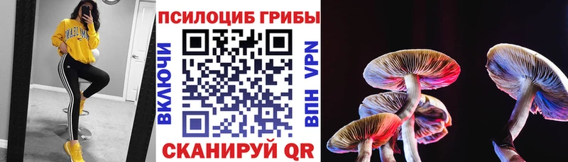 Галлюциногенные грибы Psilocybine cubensis  Удомля 